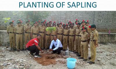 Tree Plantation & Swachh Bharat photo 3